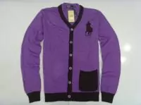 2019U ralph lauren pulls hommes femmes classic polo big pony violet